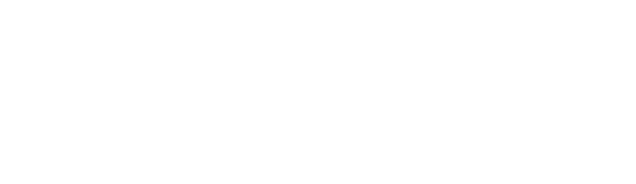 Blu Estates Logo White